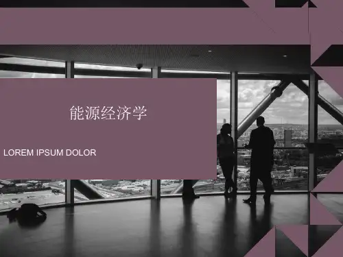 能源经济学ppt课件