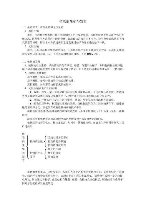 植物的生殖与发育