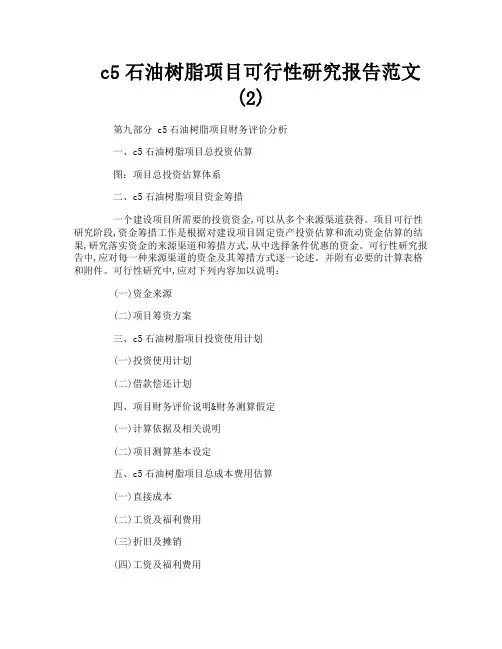c5石油树脂项目可行性研究报告范文2