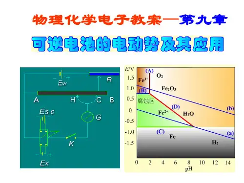 09章_可逆电池的电动势及其应用