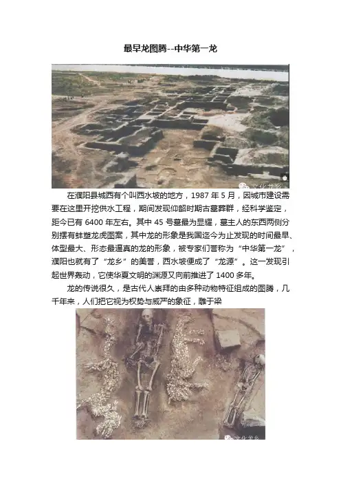 最早龙图腾--中华第一龙