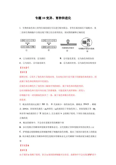 专题10 变异、育种和进化-2020年高考生物考点黄金30题(解析版)