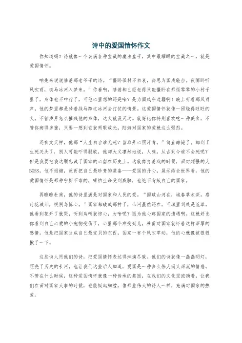 诗中的爱国情怀作文