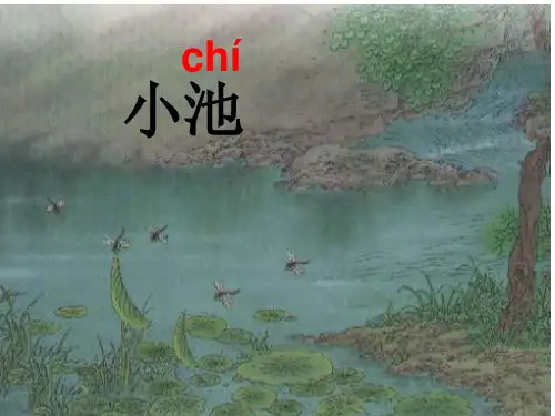 语文一年级下册12.2《小池》名师获奖ppt课件