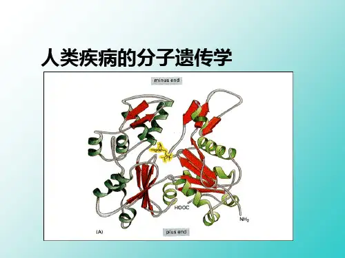 医学遗传学中分子病
