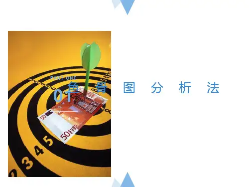 鱼骨图分析法