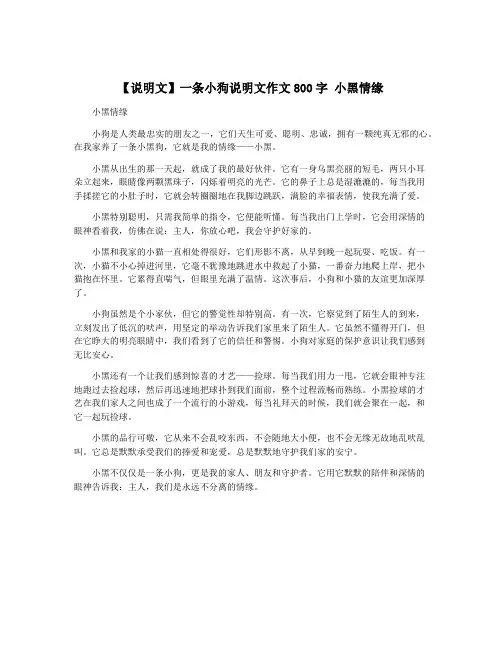 【说明文】一条小狗说明文作文800字 小黑情缘