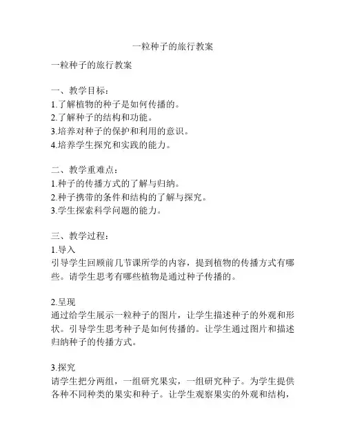一粒种子的旅行教案