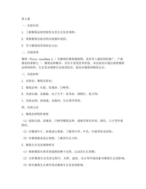 葡萄实验室做实验报告(3篇)