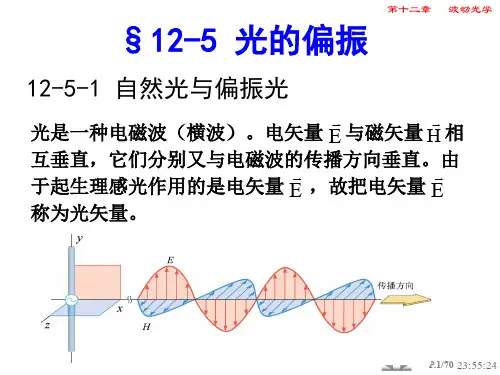 第12章-波动光学3