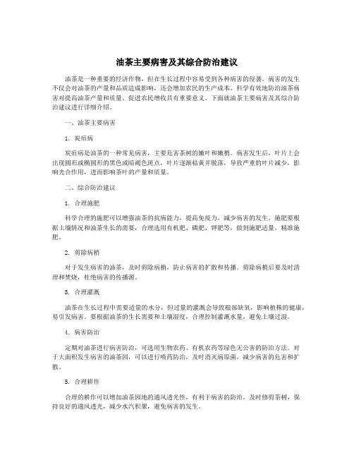 油茶主要病害及其综合防治建议