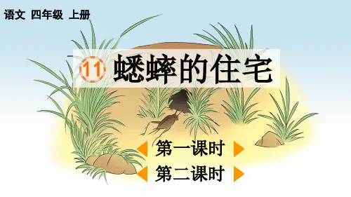四年级语文上册11 蟋蟀的住宅课件1