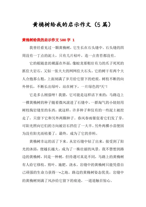 黄桷树给我的启示作文(5篇)