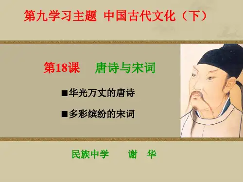 初中历史   唐诗与宋词4 川教版精品课件