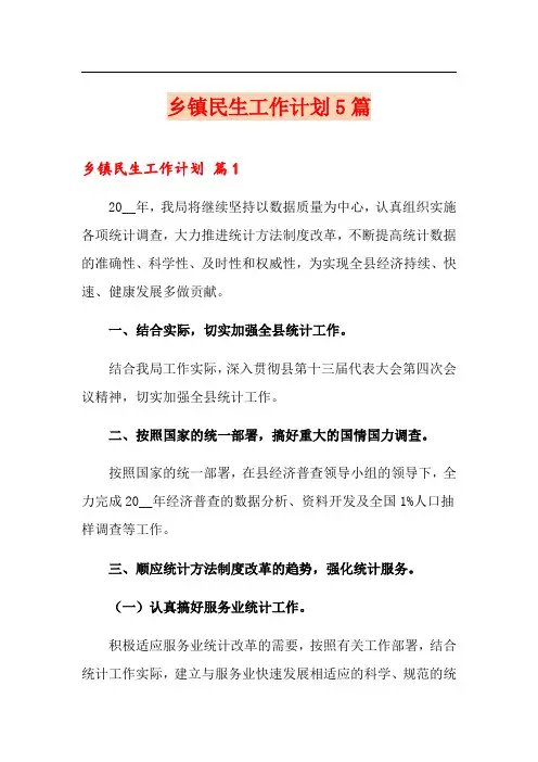 乡镇民生工作计划5篇