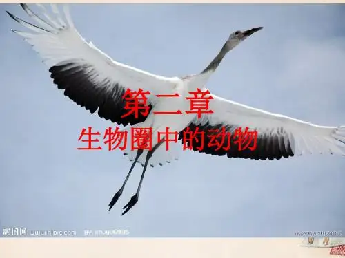 七年级生物上册第二单元第二章第二节脊椎动物的主要类