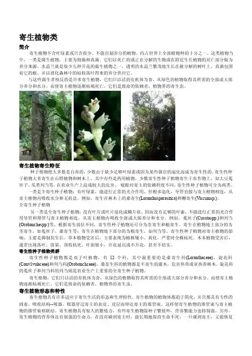寄生植物类——精选推荐