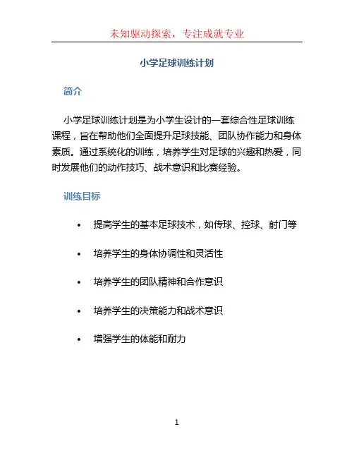 小学足球训练计划
