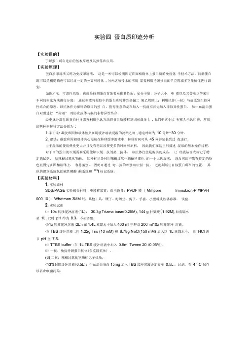 过程步骤详解中英文对照