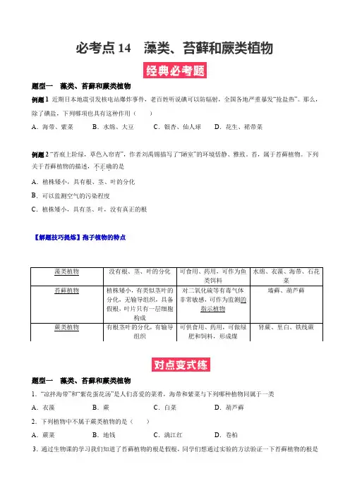 必考点14  藻类、苔藓和蕨类植物-(人教版)(原卷版)