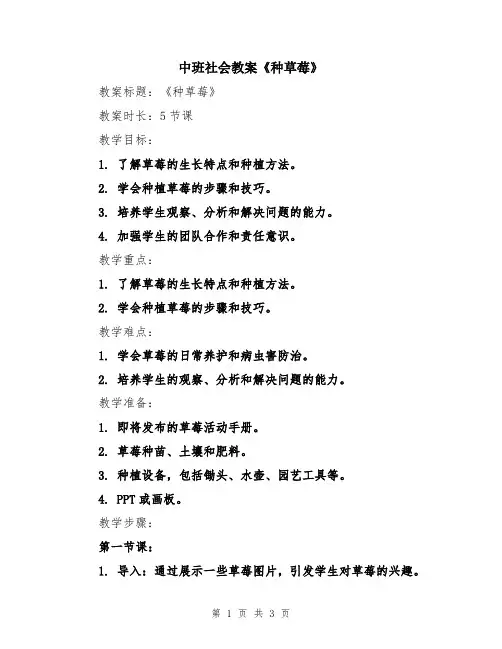 中班社会教案《种草莓》