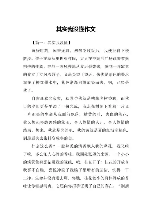 其实我没懂作文