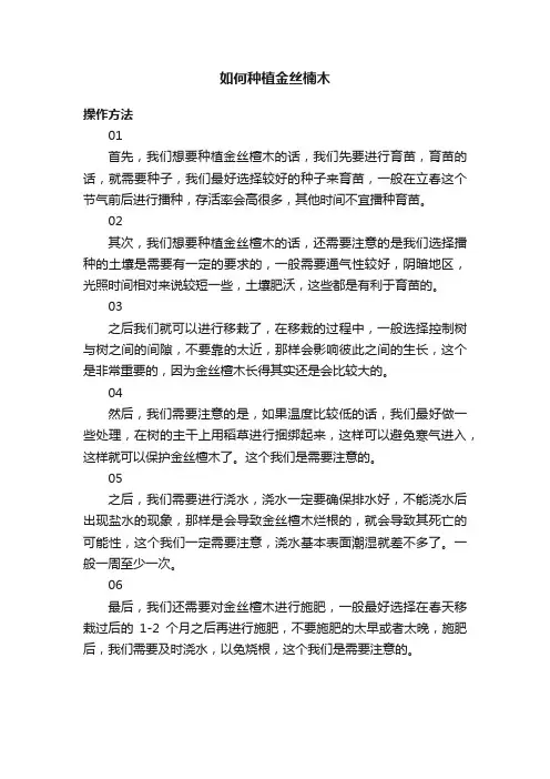 如何种植金丝楠木