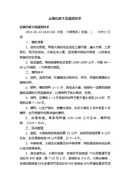 云南白皮大蒜栽培技术
