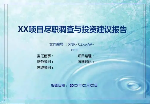 某PE投资公司尽职调查及投资建议报告模板