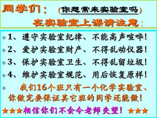 关于化学式的计算大全PPT