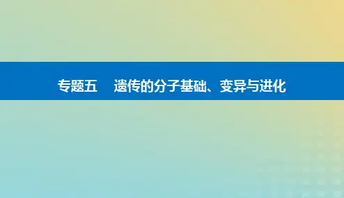 2024届高考生物二轮专题复习专题五遗传的分子基础变异与进化第8讲生物的变异与进化课件