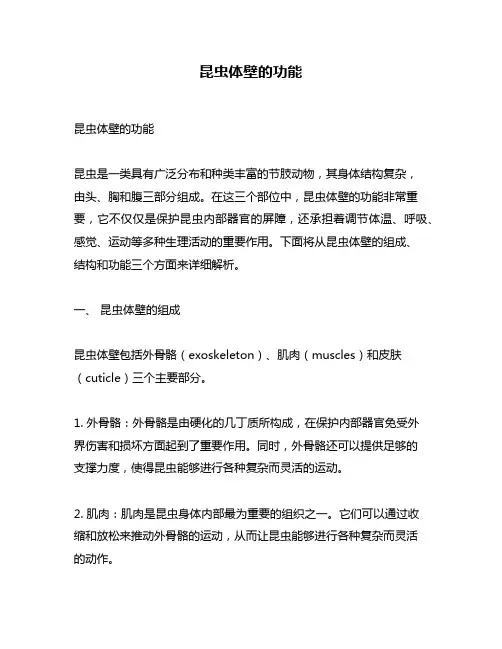 昆虫体壁的功能
