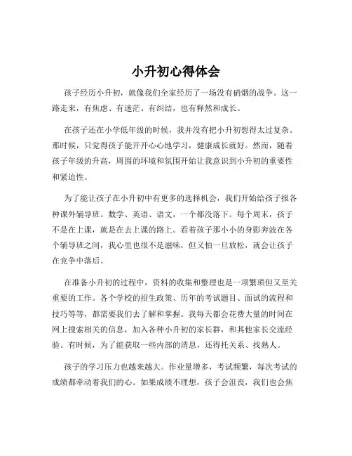 小升初心得体会