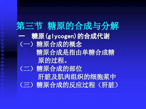 第三节糖原的合成与分解