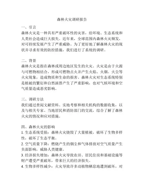 森林火灾调研报告