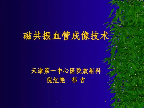 磁共振血管成像技术ppt课件
