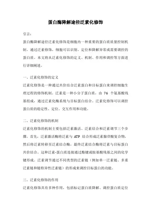 蛋白酶降解途径泛素化修饰
