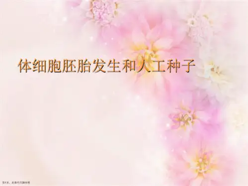 体细胞胚胎发生和人工种子