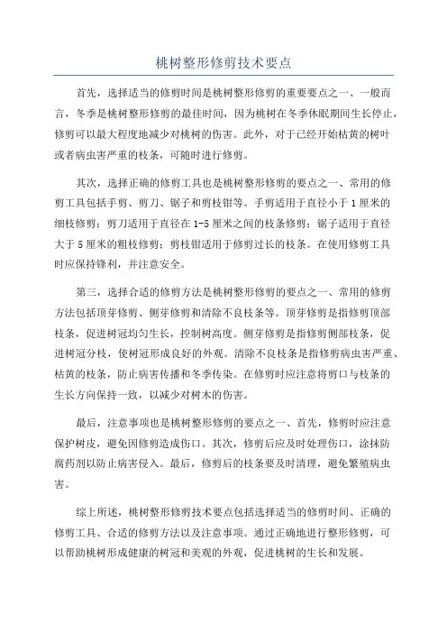 桃树整形修剪技术要点