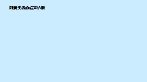 阴囊常见疾病的超声诊断