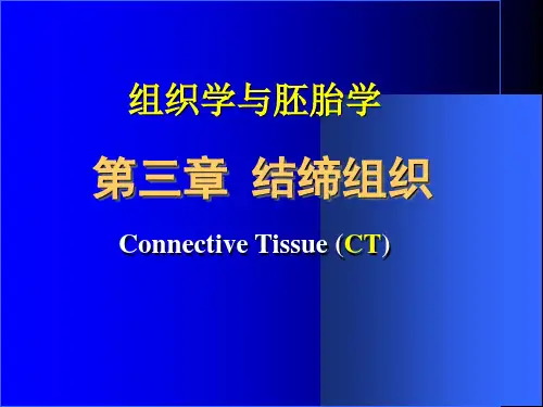 组胚第三章结缔组织