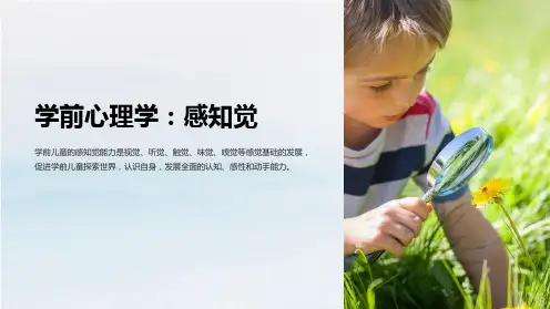 学前心理学：感知觉