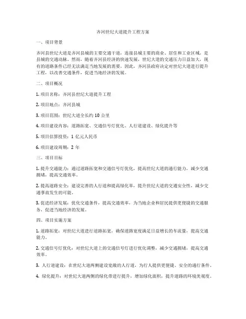 齐河世纪大道提升工程方案