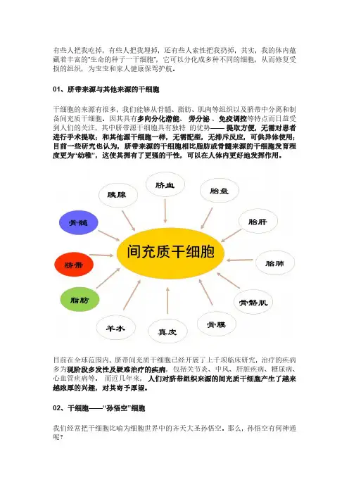 藏在脐带中的黄金资源：干细胞