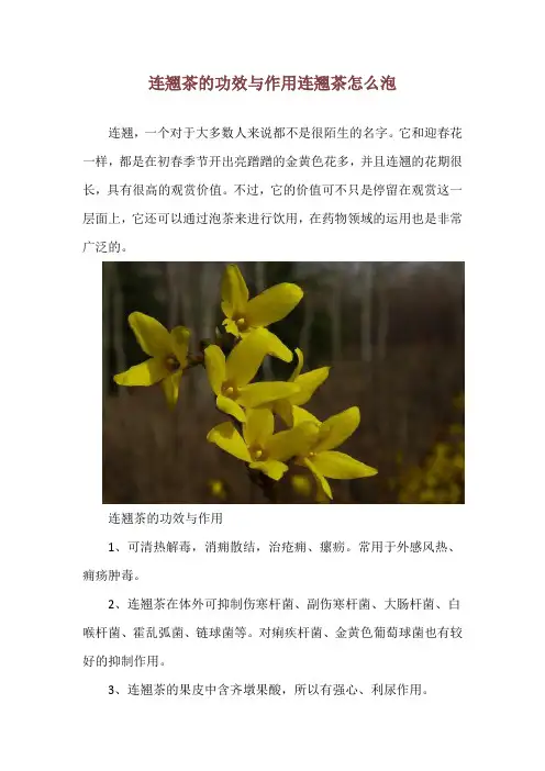 连翘茶的功效与作用 连翘茶怎么泡