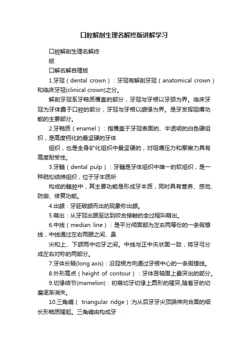 口腔解剖生理名解终版讲解学习