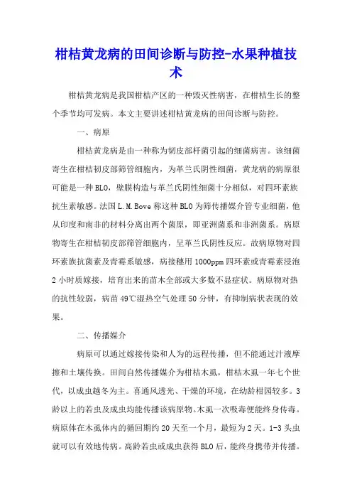 柑桔黄龙病的田间诊断与防控 - 水果种植技术