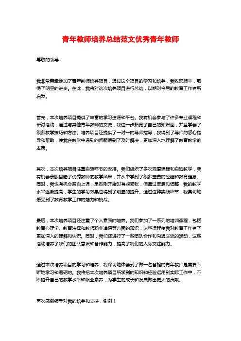 青年教师培养总结范文优秀青年教师