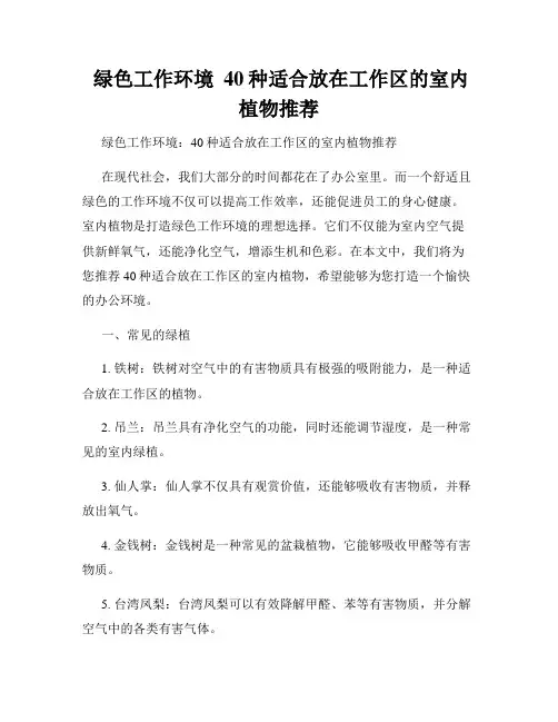  绿色工作环境  40种适合放在工作区的室内植物推荐