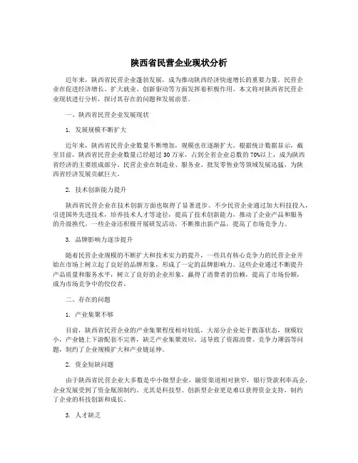 陕西省民营企业现状分析